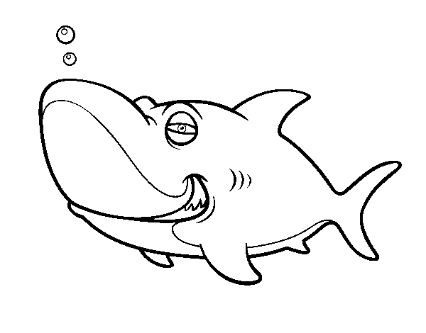 Tiger shark coloring page
