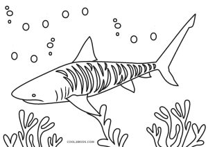 Free printable shark coloring pages for kids