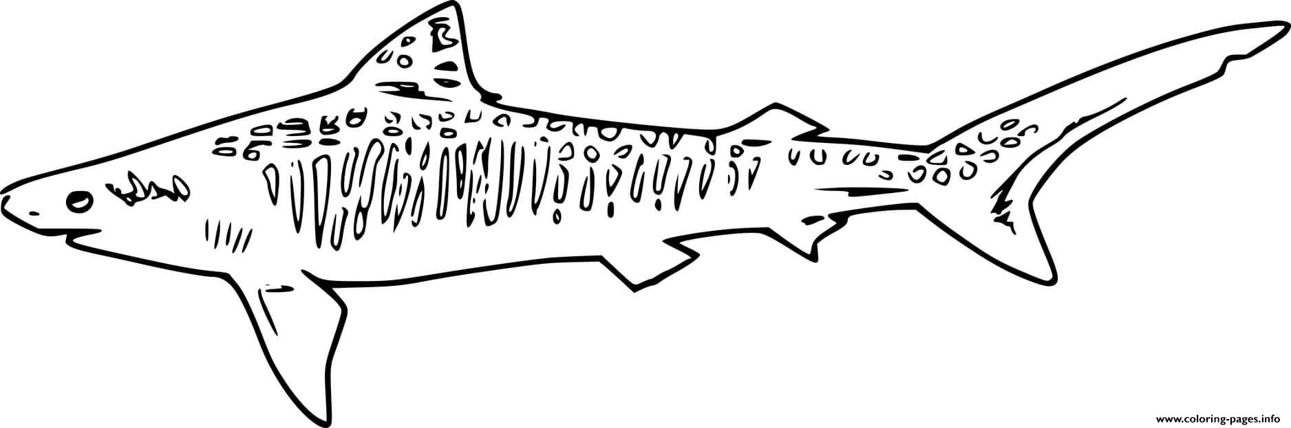 Swimming sand tiger shark coloring page printable