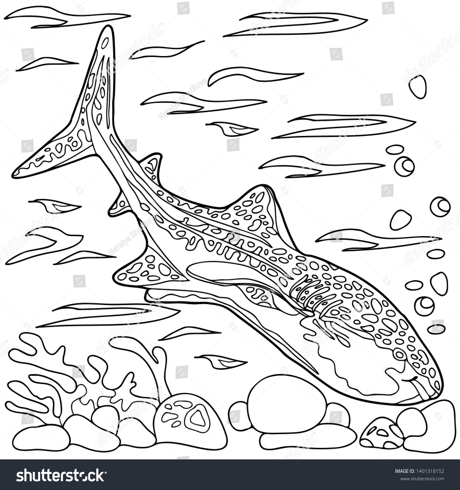 Coloring book children adults fish tiger stock vector royalty free
