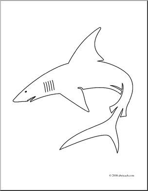 Clip art shark outline coloring page i
