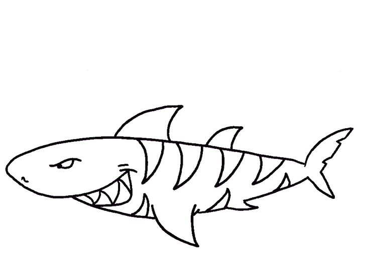 Tiger shark coloring pages