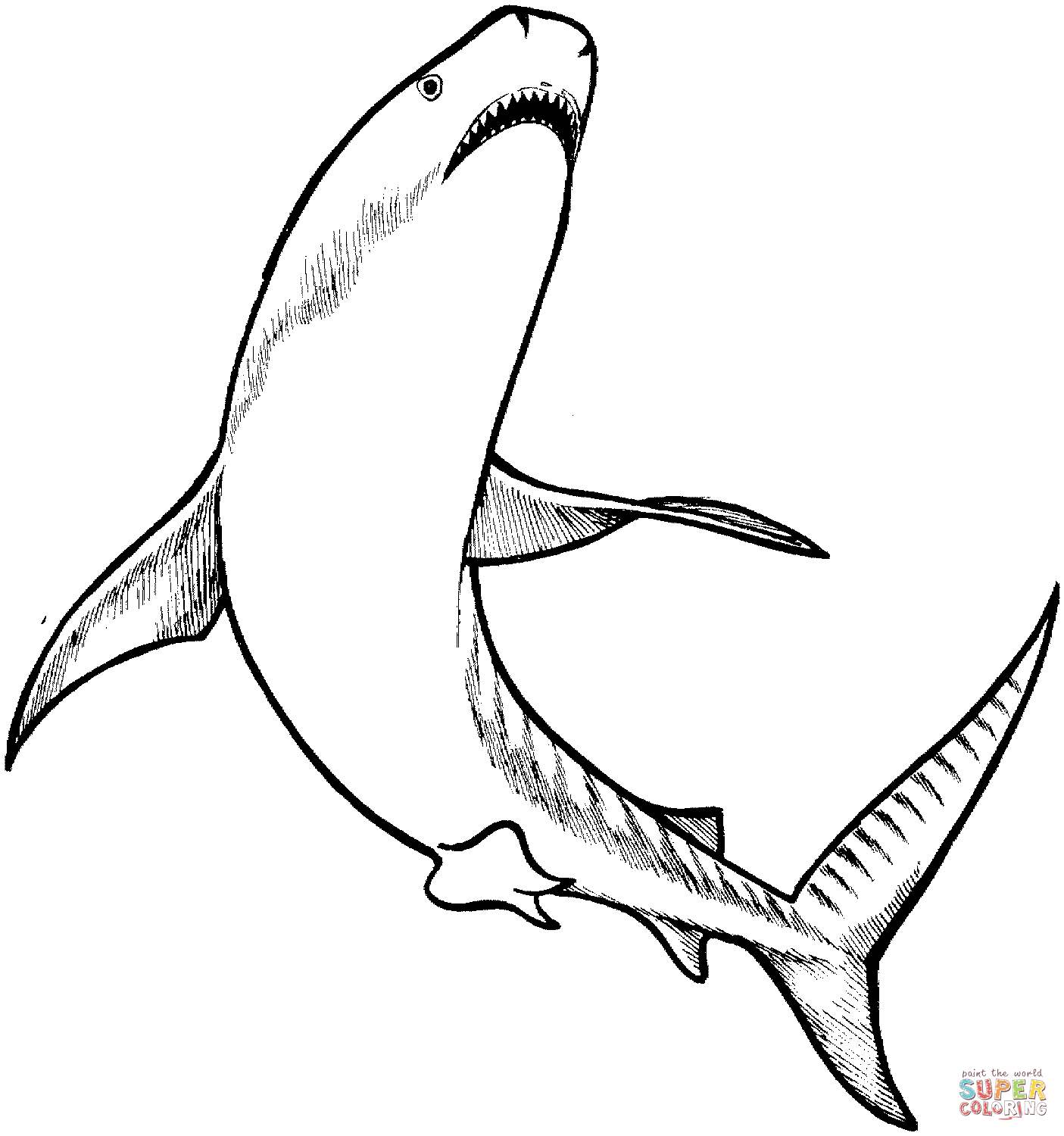 Tiger shark coloring page free printable coloring pages