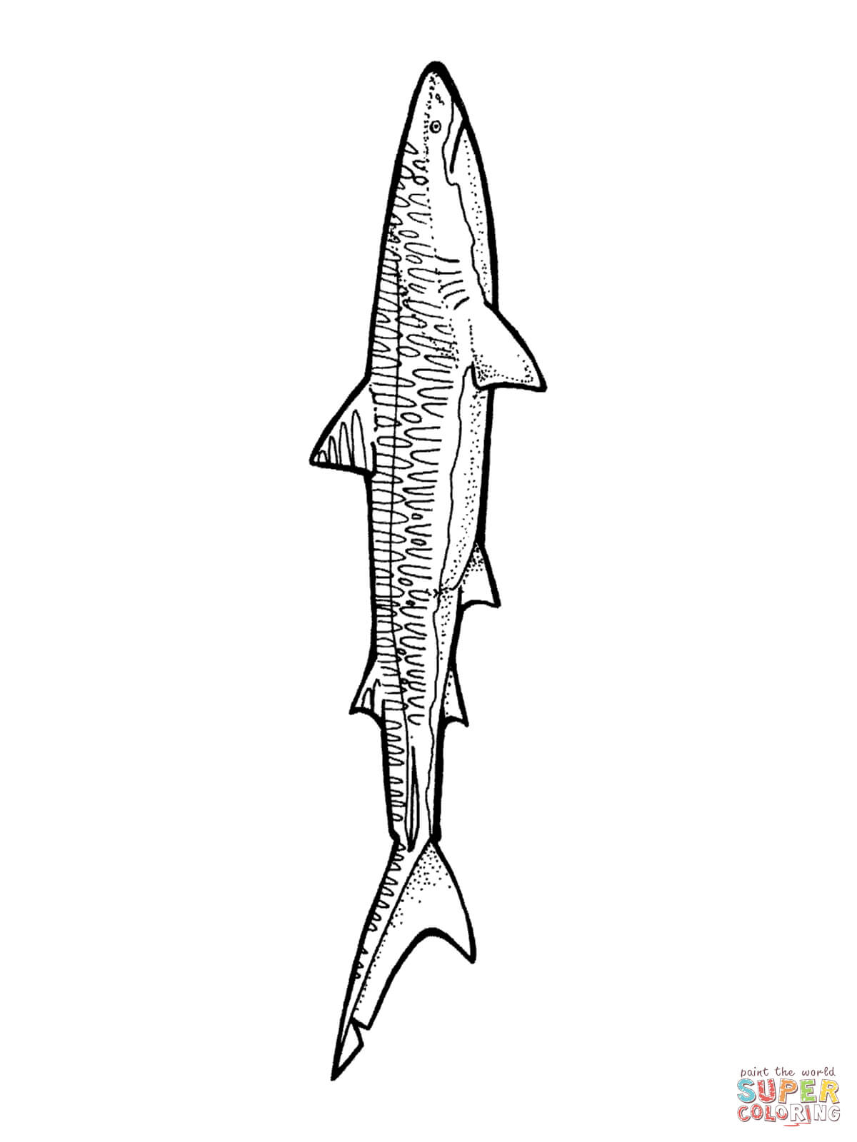 Tiger shark coloring page free printable coloring pages
