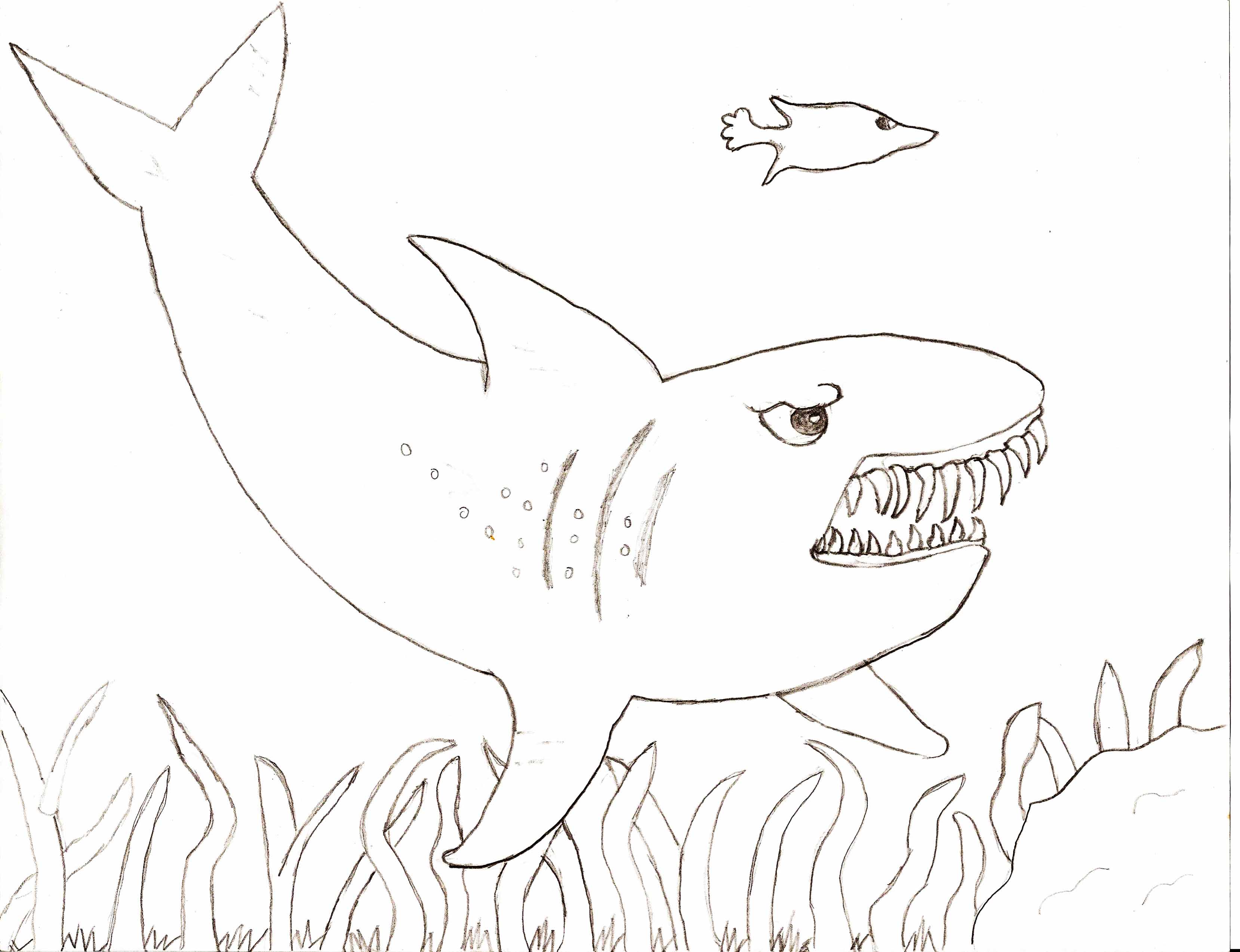 Free printable shark coloring pages for kids