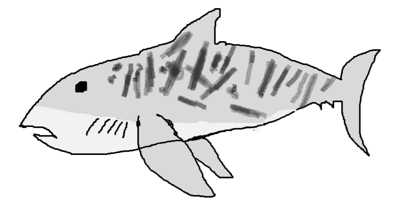 Guys here is another shark i drew try and guess what type of shark it is and say a fun fact about it this one should be an easy on rsharks