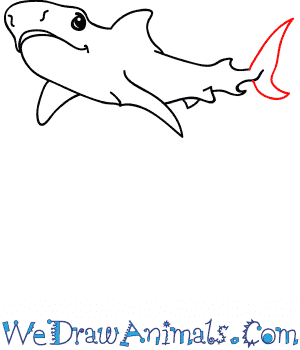How to draw a cartoon tiger shark