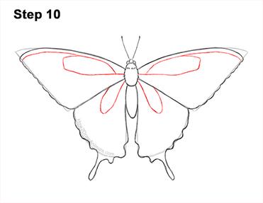 How to draw a butterfly tiger swallowtail video step