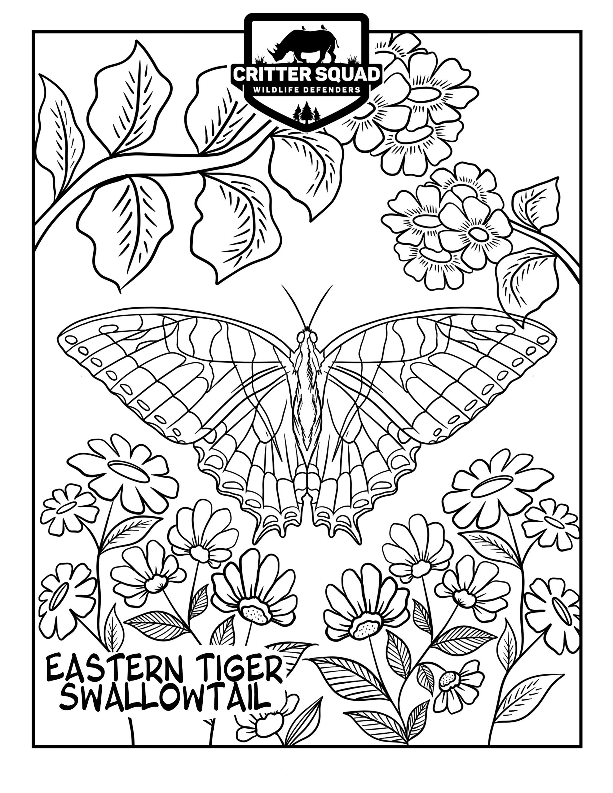 Eastern tiger swallowtail coloring page