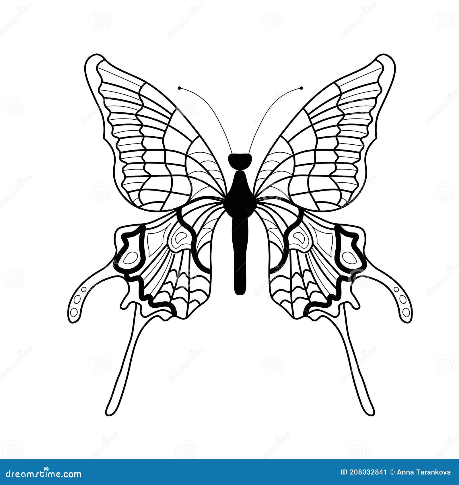 Butterfly coloring book linear drawing of a butterfly stock vector