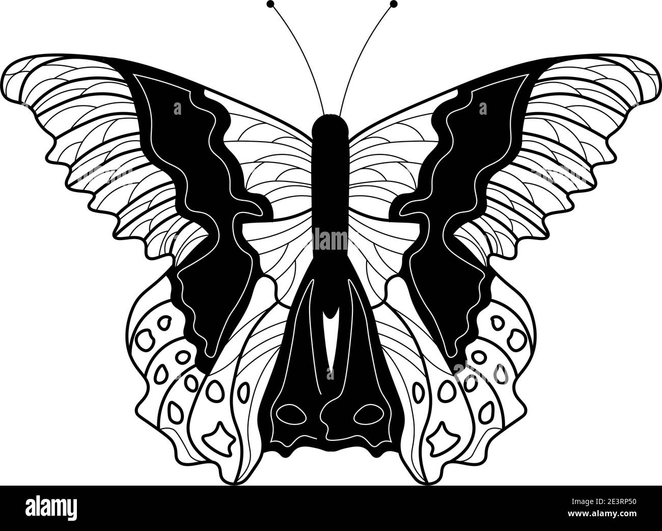 Butterfly coloring book linear drawing of a butterfly stock vector image art