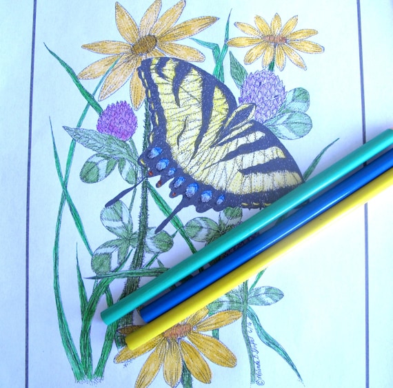 Butterfly coloring page of tiger swallowtail hand drawn with pen and ink swallowtail summer