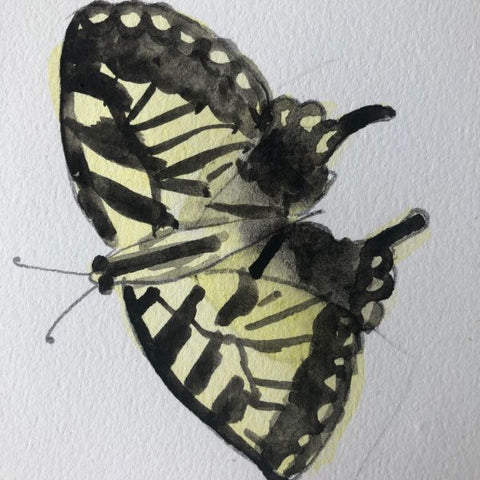 Guide to butterflies of the field and forest coloring page â hazel village
