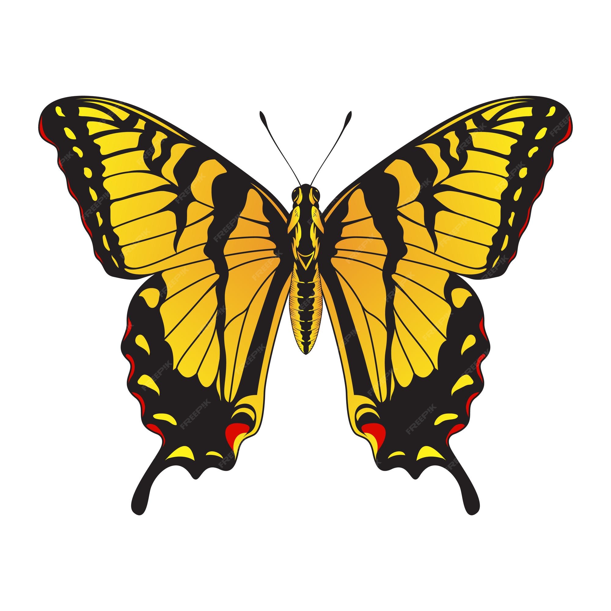 Premium vector tiger swallowtail butterfly yellow and black striped butterfly vector illustration
