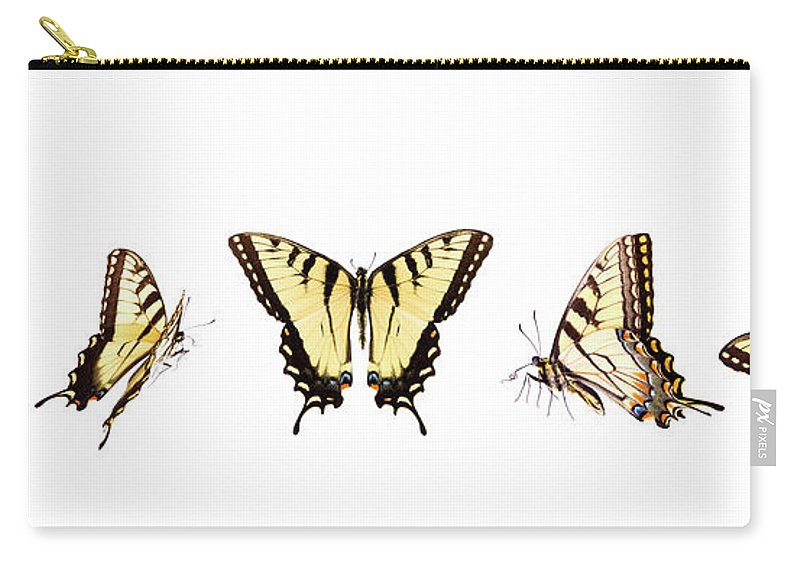 Tiger swallowtail butterflies in zip pouch by liliboas