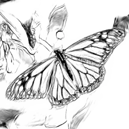 Butterfly coloring sheets