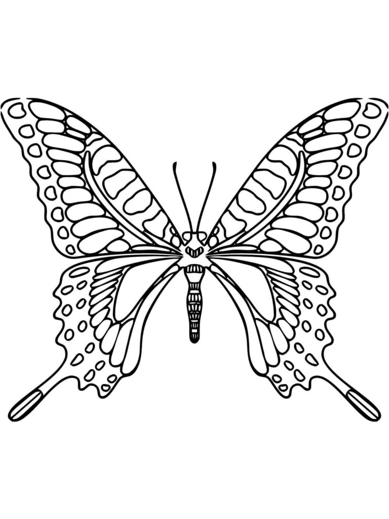 Free printable butterfly coloring pages for kids
