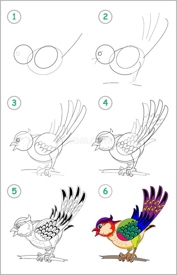 How to draw step by step a cute little toy tiger educational page for kids back to school stock vector