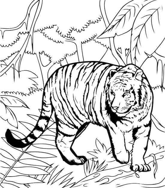 Premium vector tiger in the jungle coloring page