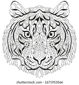 Tiger adult coloring images stock photos d objects vectors