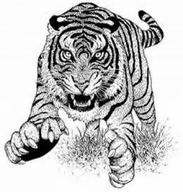 D animal coloring pages for adults