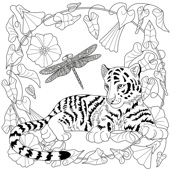 Adult colouring tiger images stock photos d objects vectors