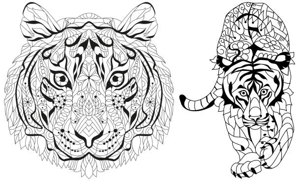 Tiger coloring stock photos pictures royalty