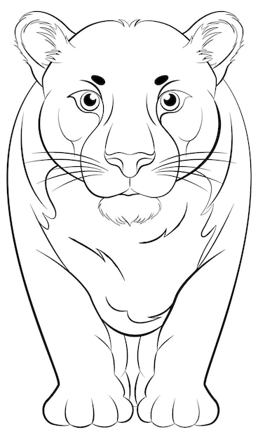 Tiger coloring pages images