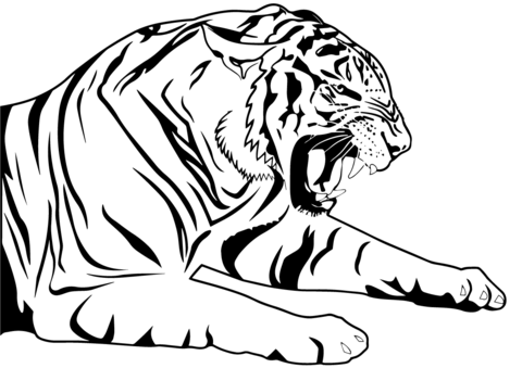 Tiger coloring page coloring pages super coloring pages animal coloring pages