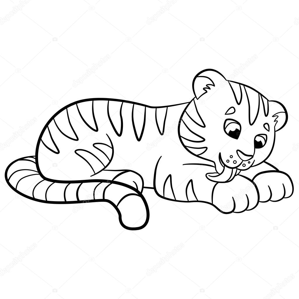 Coloring pages wild animals little cute baby tiger cleans himself and smiles stock vector by ya