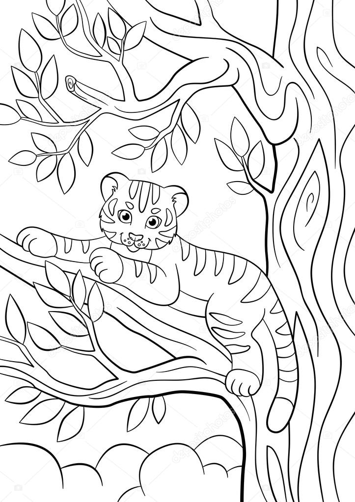 Coloring pages wild animals little cute baby tiger lays on the tree branch and smiles stock vector by ya