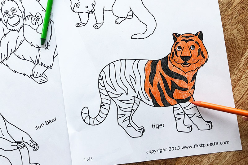 Asian jungle or rainforest animals free printable templates coloring pages