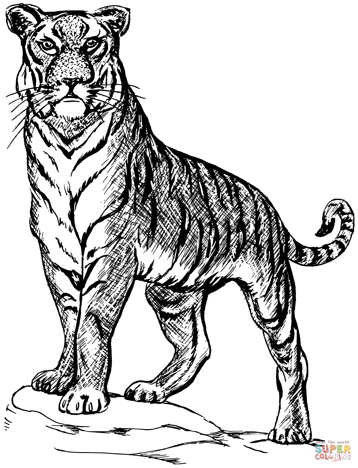 Tiger coloring page free printable coloring pages