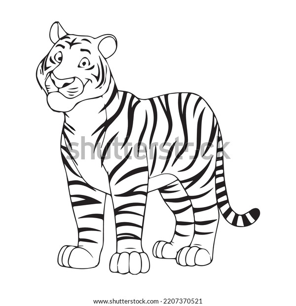 Tiger colour images stock photos d objects vectors