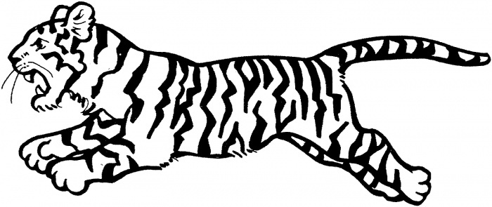 Tiger jumps tiger drawing animal coloring pages coloring pages