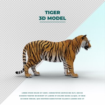 Page tiger coloring pages psd high quality free psd templates for download