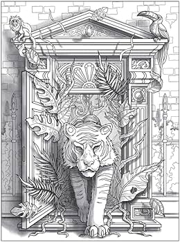 Dimensions a d colouring book gautier anãois livres