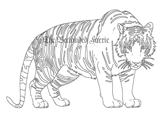 Tiger coloring page