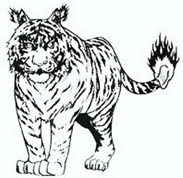 Tigre tempesta wiki