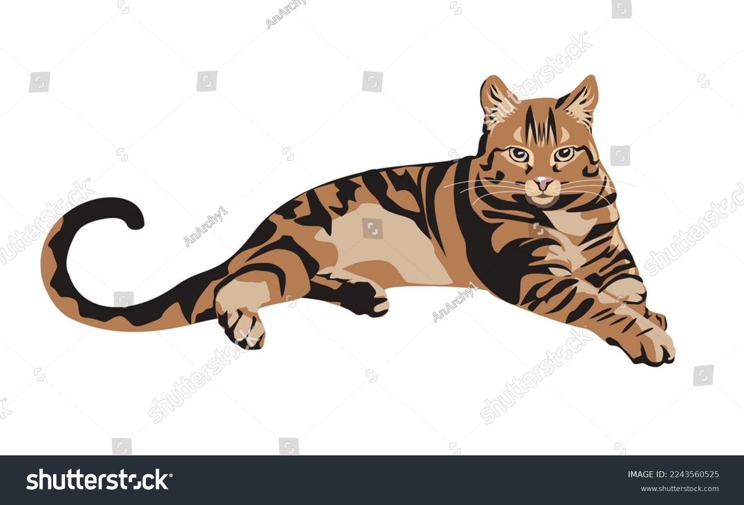 Tabby over royalty
