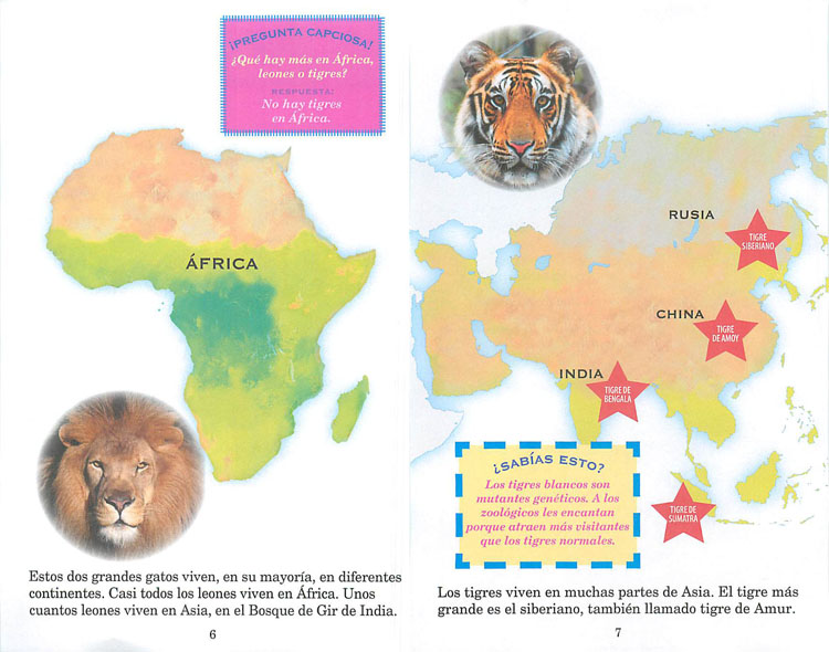 Lionvstigerspanish prebound books