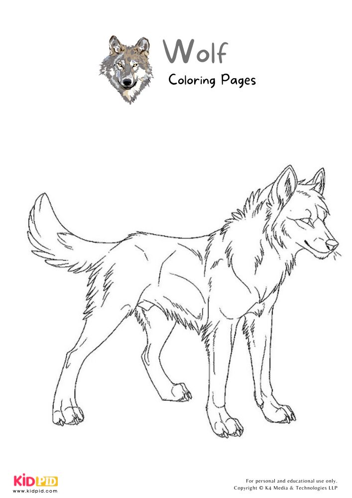 P on colorg pages