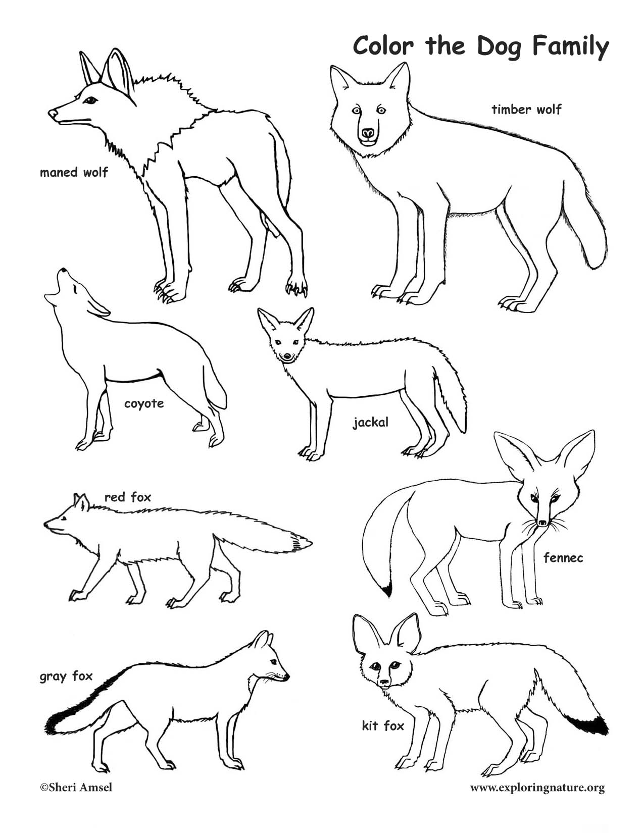 Dog family coloring page
