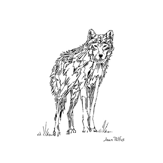 Wolf drawing gray wolf illustration timber wolf black and white wildlife drawing wild animal woodland animal art fine art print