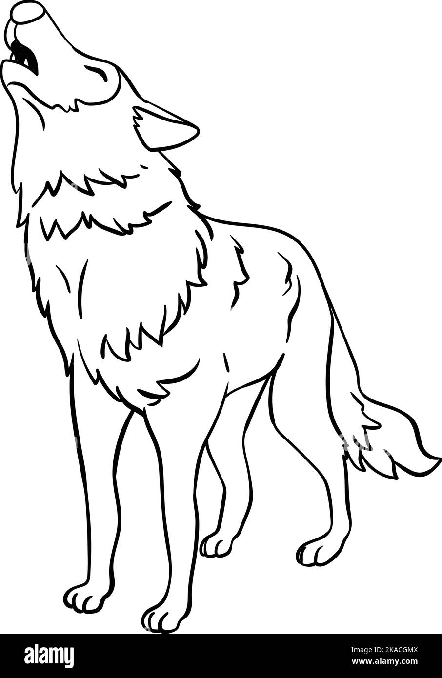 Gray wolf cut out stock images pictures