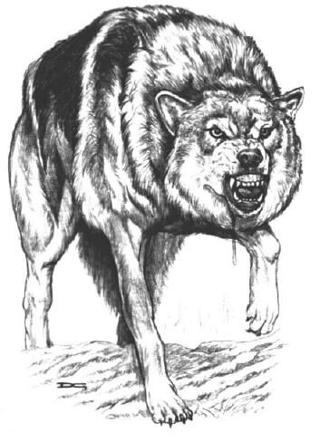 Timber wolf wowwiki
