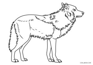 Free printable wolf coloring pages for kids