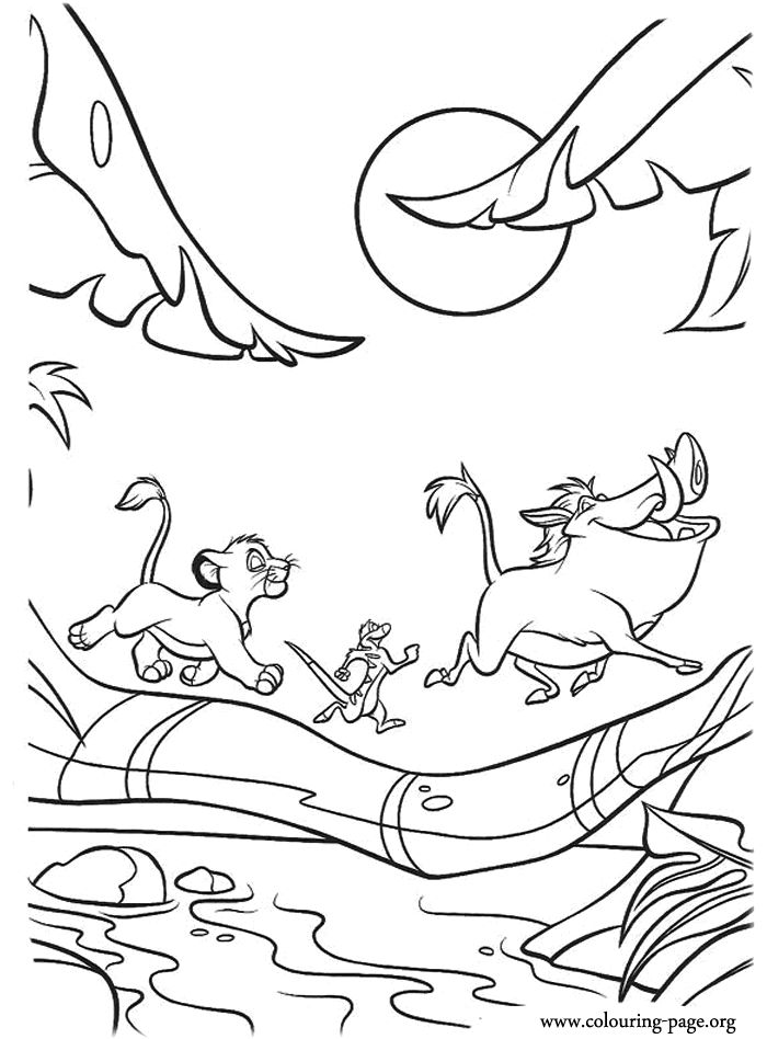 Colorful adventure with simba timon and pumbaa