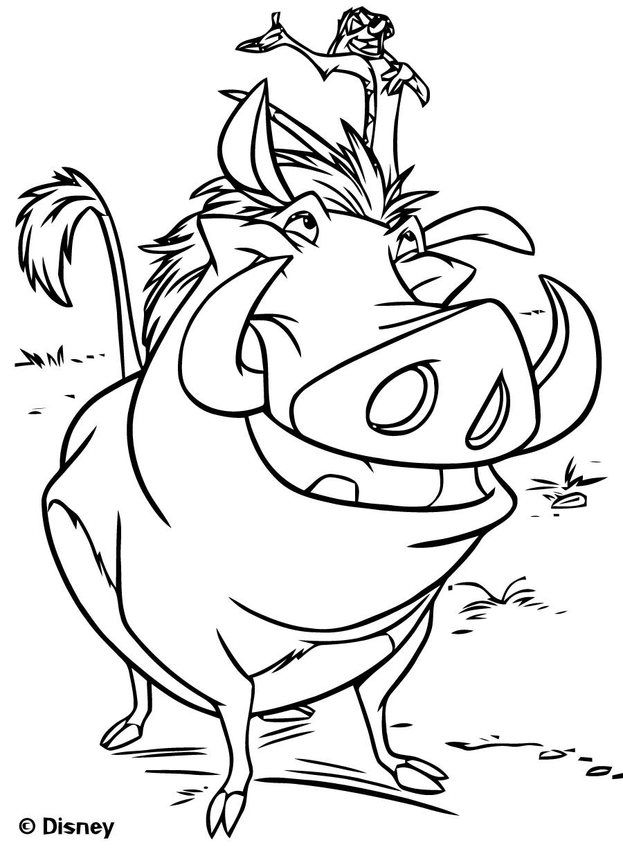 Timon and pumbaa
