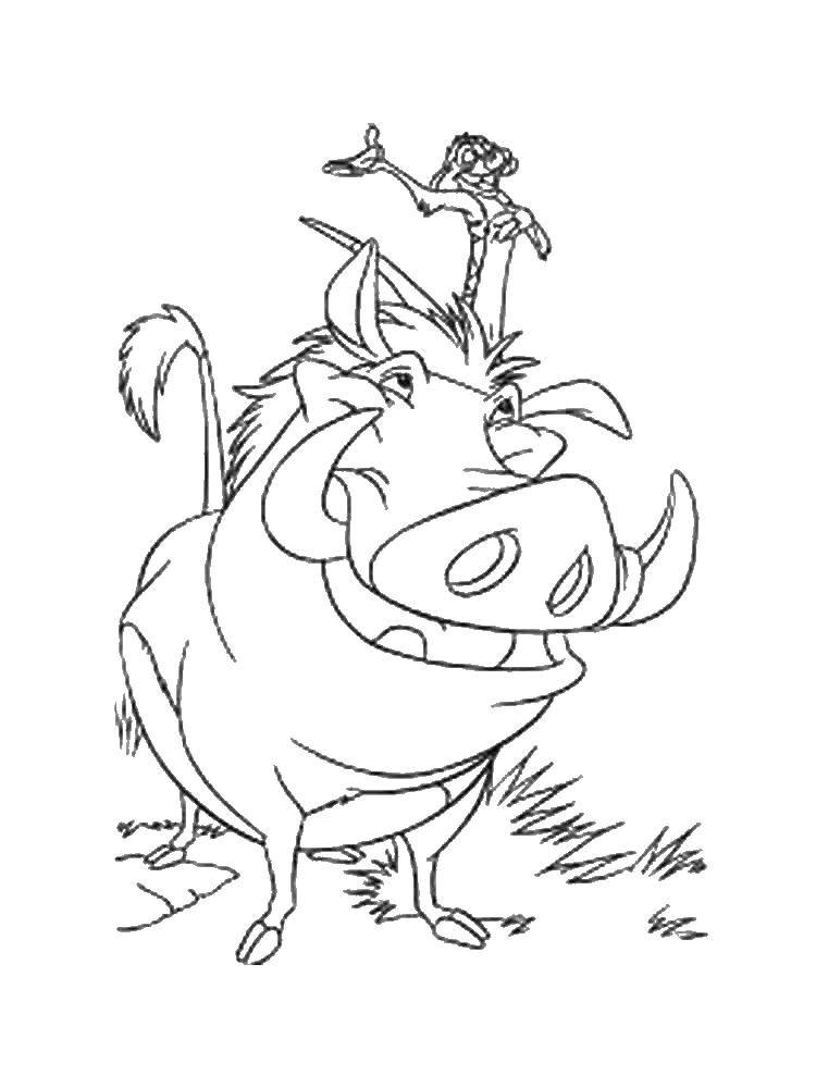 Online coloring pages coloring page timon and pumbaa the lion king download print coloring page